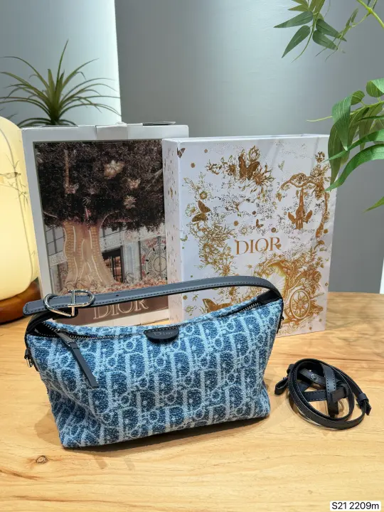 Dior size：22×13cm--11