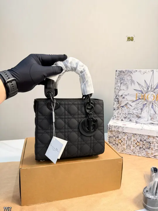 Dior size：20*17cm--09