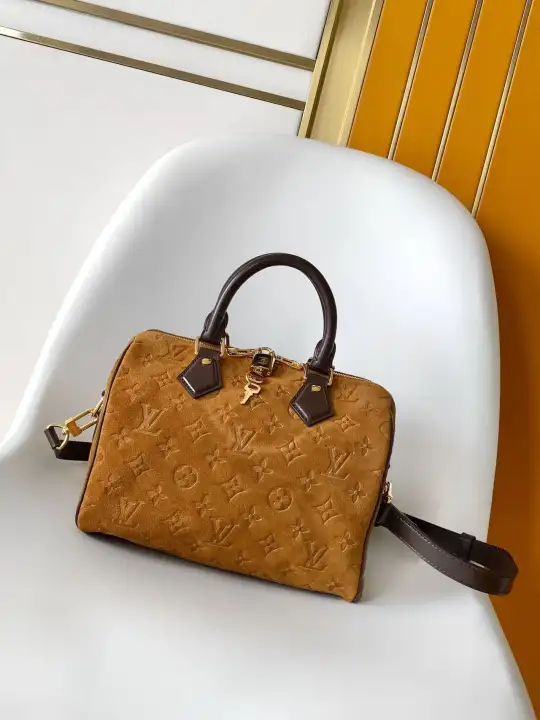 Louis Vuitton（LV） Size: 25 x 19 x 15cm--100